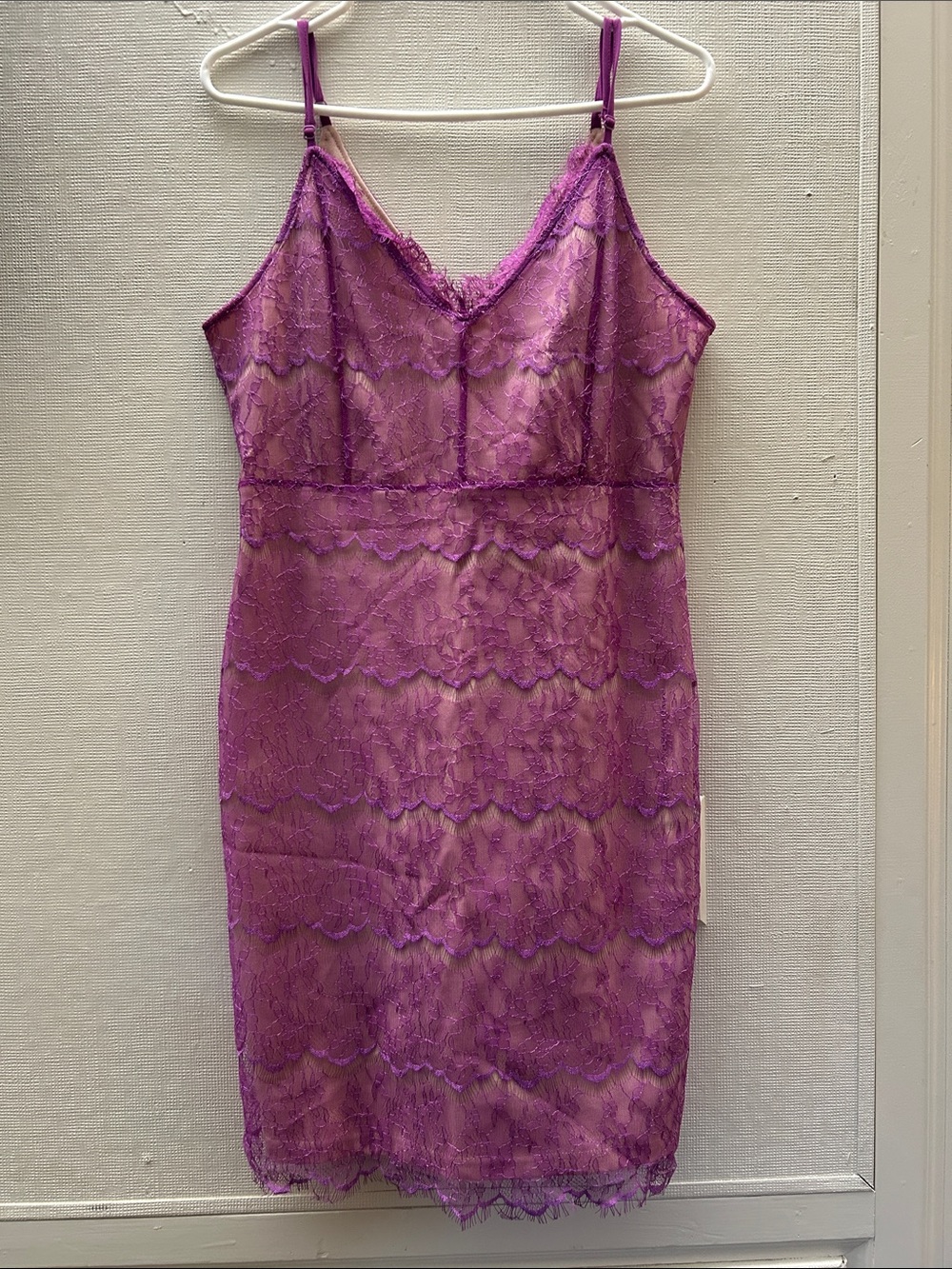 Purple Lace Slip Dress - Women